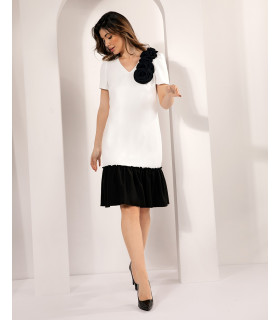 Bessa
