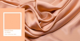 Peach Fuzz ogłoszony kolorem roku 2024 Pantone