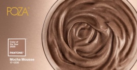 Mocha Mousse kolor roku 2025 według Pantone Color Institute